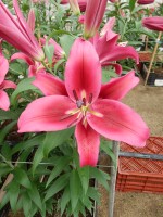 [5561 PO64 Campaign No02.JPG]